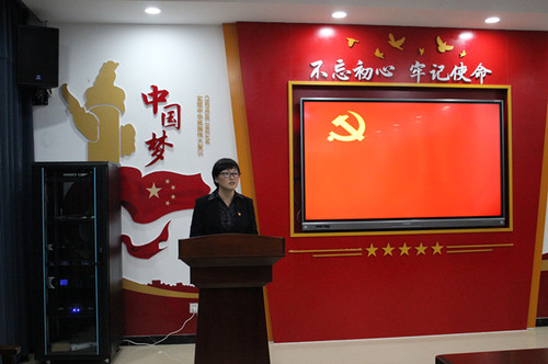 党总支书记周继莉进行活动总结