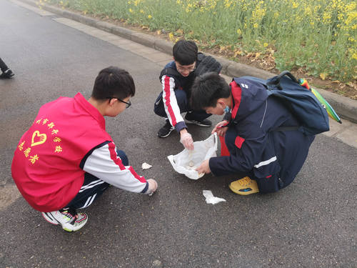 绿博园内捡拾垃圾
