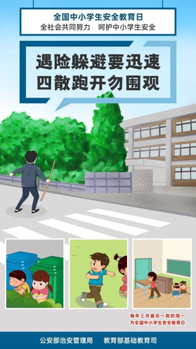 图片4