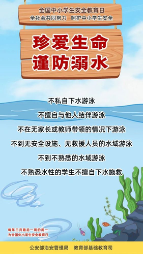 图片19