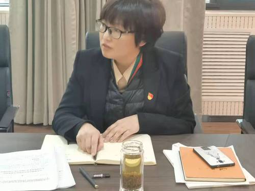 党总支书记周继莉安排部署党史学习教育工作