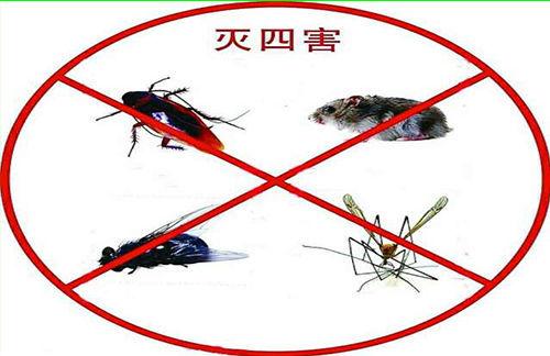 图6