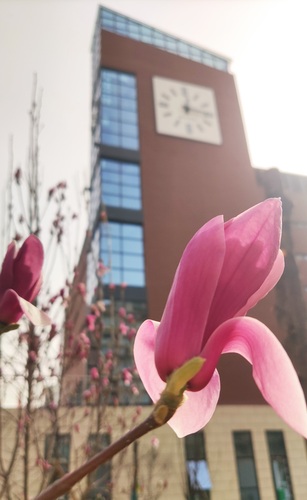 惜时