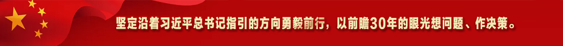4.坚定沿着习近平总书记指引的方向勇毅前行，以前瞻30年的眼光想问题、作决策。
