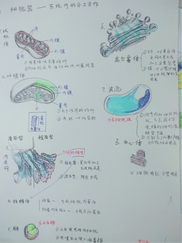 图片5