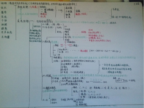 图片7