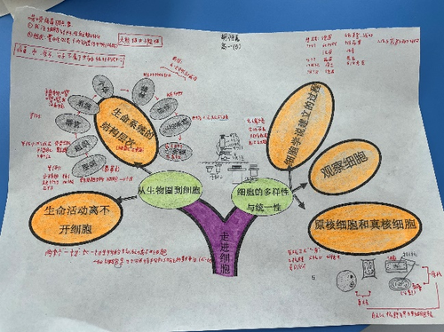 图片8