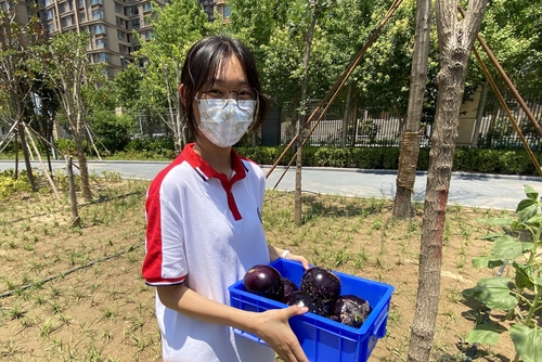 收获满满