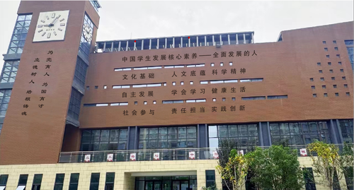 图片8