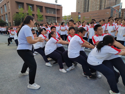 图片12