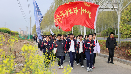 图片11