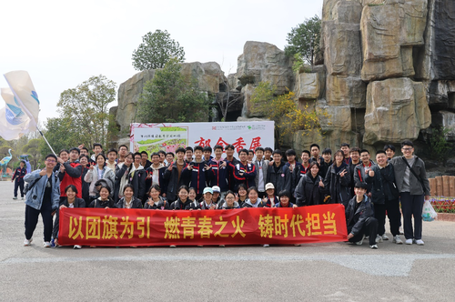 图片15