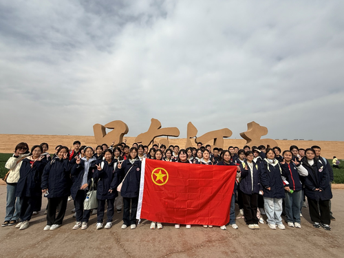 图片3