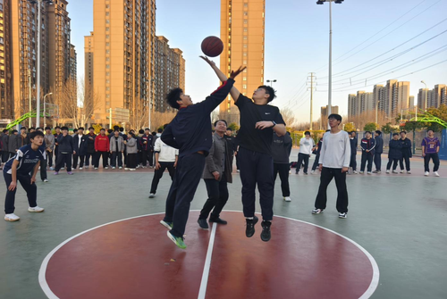 图片3