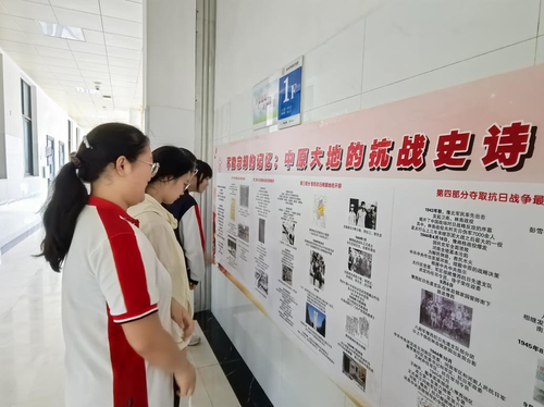 图片3