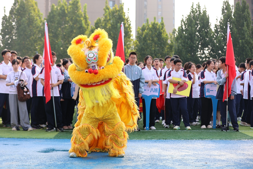 图片12