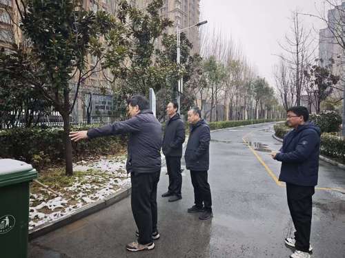 微信图片_20260303140508_24_10